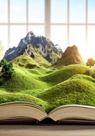 The Art of the Visualized Novel